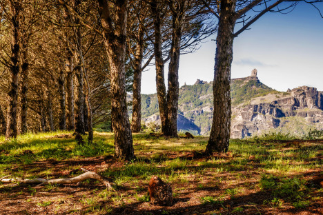 Roque Nublo