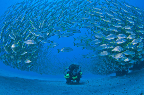 Buceo en Playa del Cabrón