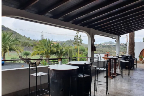 Bodega Los Lirios