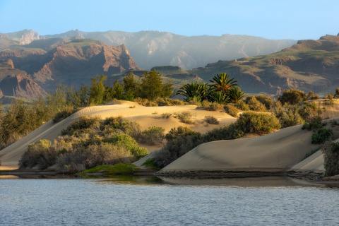 Charca de Maspalomas