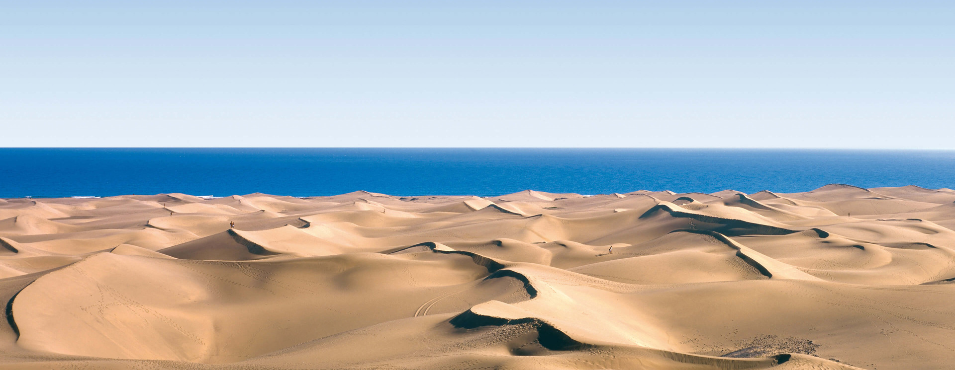 Discover the famous sand dunes of Maspalomas and some of the best beaches in Gran Canaria