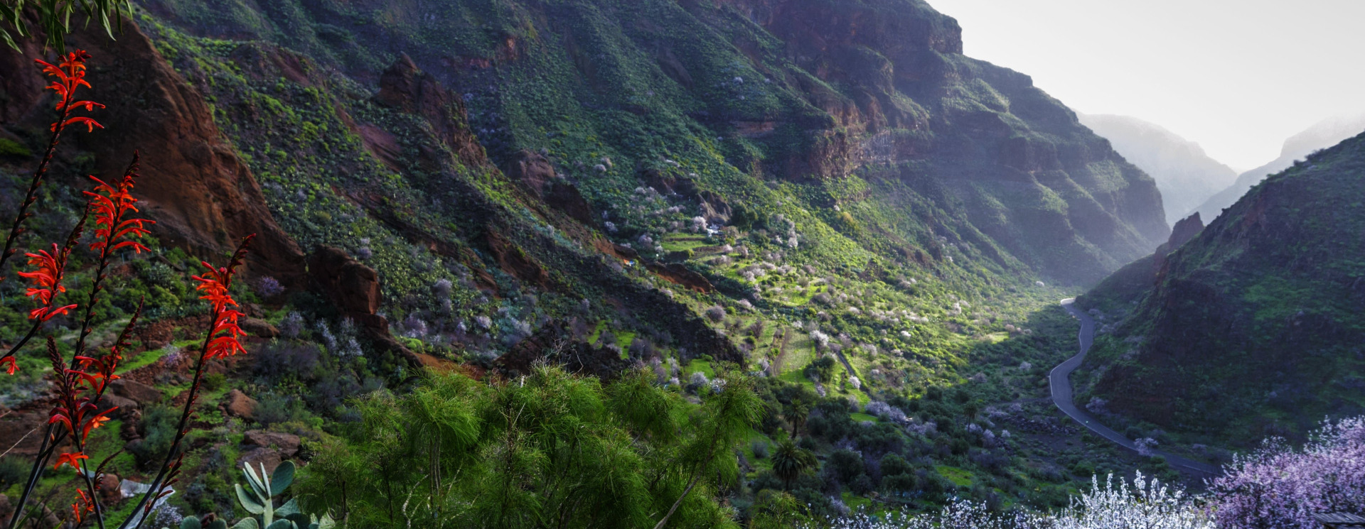 Barranco de Guayadeque