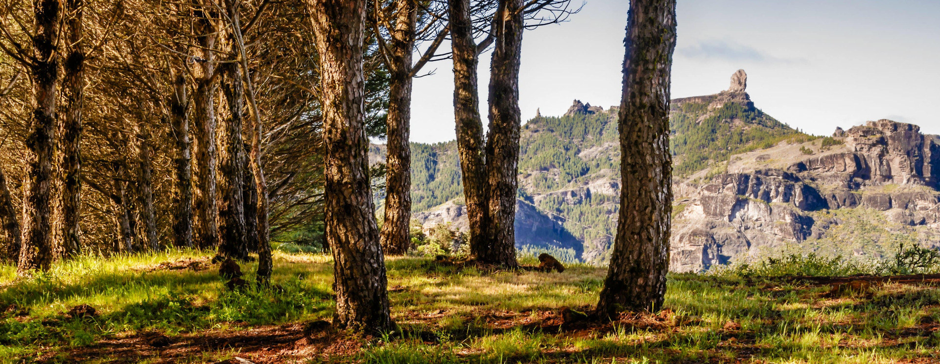 Roque Nublo