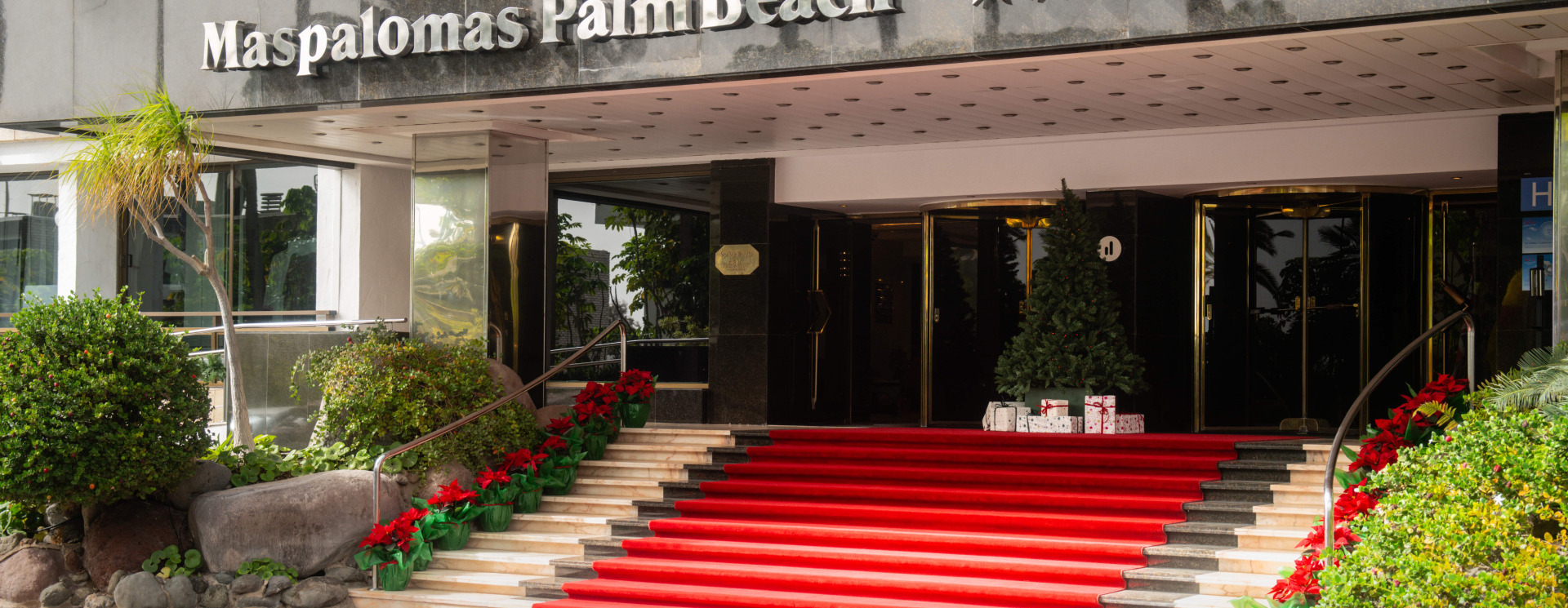 Christmas Palm Beach
