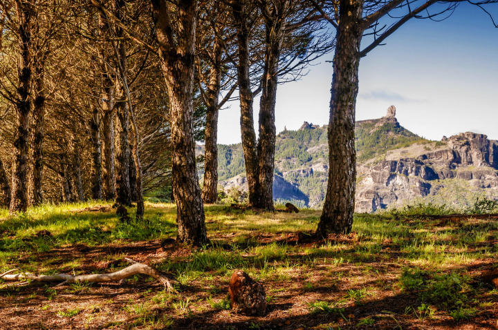 Roque Nublo